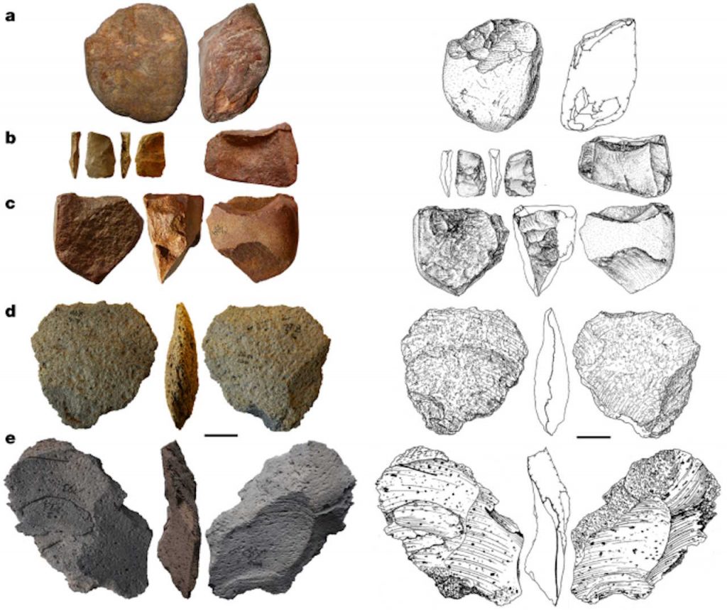 Кам'яні знаряддя з Королева, що їх вивчали науковці. Roman Garba et al. / Nature, 2024