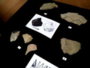 Експонати епохи палеоліту